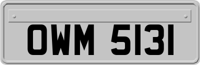 OWM5131