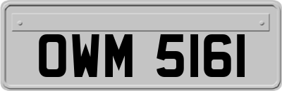 OWM5161