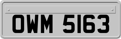 OWM5163
