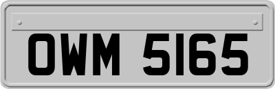 OWM5165
