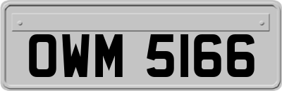 OWM5166