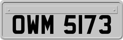 OWM5173