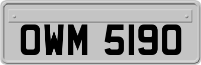 OWM5190