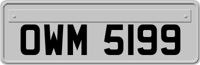 OWM5199