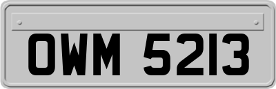 OWM5213