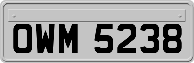 OWM5238