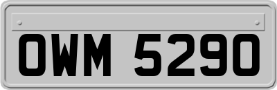 OWM5290