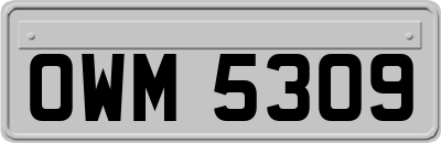 OWM5309