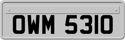 OWM5310