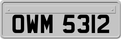 OWM5312