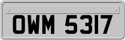 OWM5317