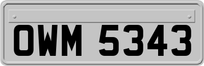 OWM5343