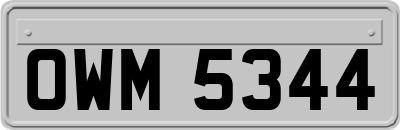 OWM5344