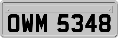 OWM5348