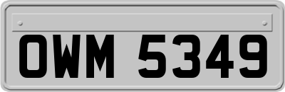 OWM5349