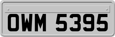 OWM5395