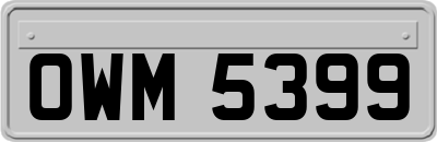 OWM5399