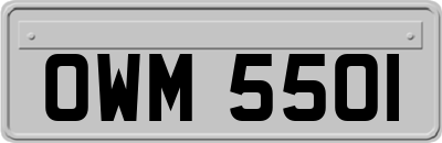 OWM5501