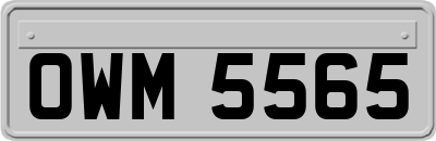 OWM5565