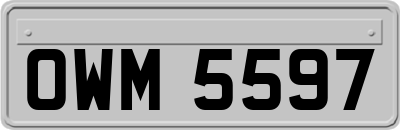 OWM5597