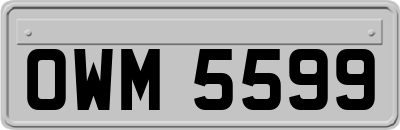 OWM5599