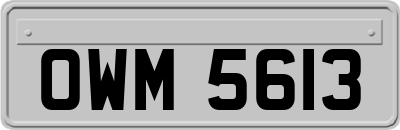 OWM5613