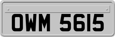 OWM5615