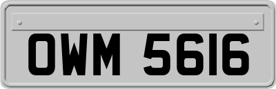 OWM5616