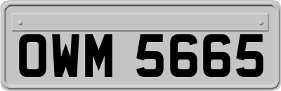 OWM5665