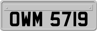 OWM5719