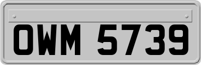 OWM5739