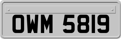 OWM5819