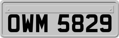 OWM5829