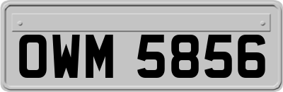 OWM5856