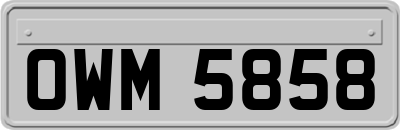 OWM5858