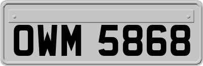 OWM5868