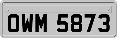 OWM5873