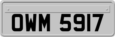 OWM5917