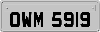 OWM5919