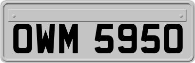 OWM5950