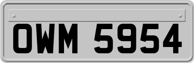 OWM5954
