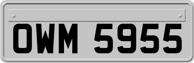 OWM5955