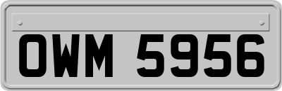 OWM5956