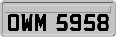OWM5958