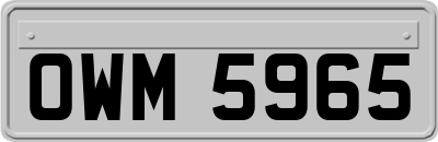 OWM5965