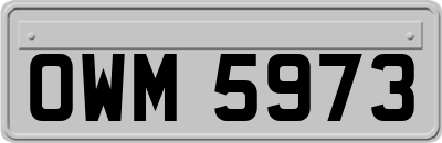 OWM5973