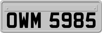 OWM5985