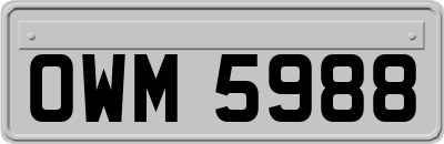 OWM5988