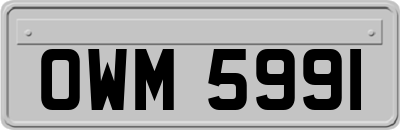 OWM5991