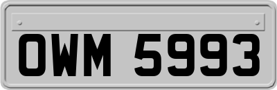 OWM5993